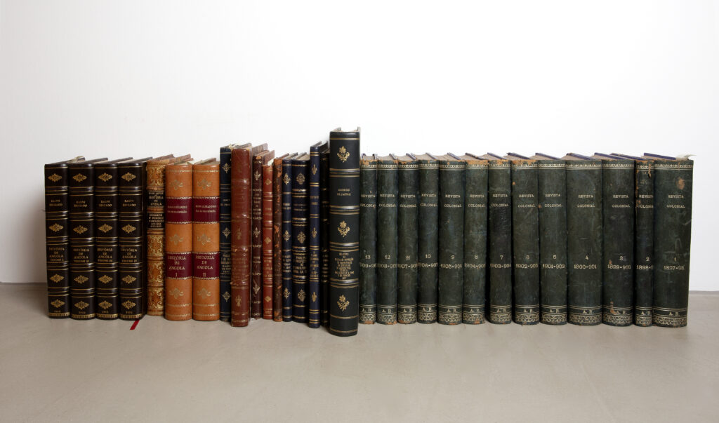 Fondation Flávia Abubakir